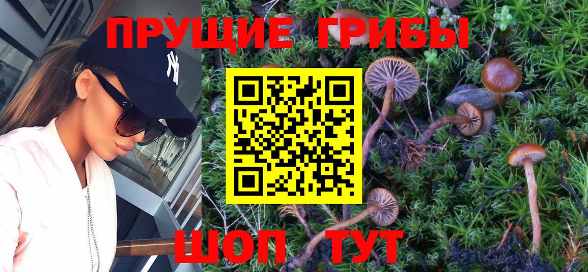 Галлюциногенные грибы Magic Shrooms  Вход с VPN  Волгодонск 